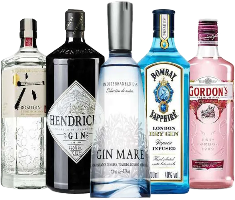 Gin (Sek)